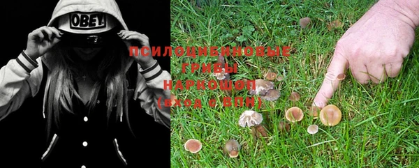 ешки Краснотурьинск