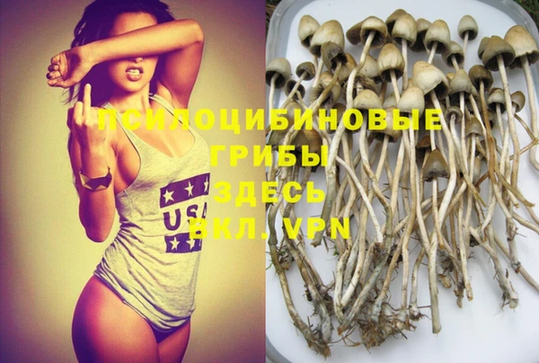 не бодяженный Краснослободск