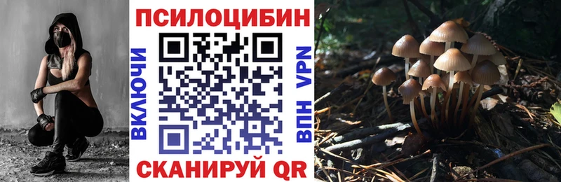 Купить закладки  Верхотурье  Галлюциногенные грибы Psilocybine cubensis 